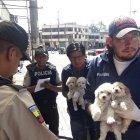  Los operativos continuarán en la capital.  