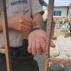  Un policía explica los cortes que tenía el joven en los brazos. 5 días puede demorar eliminar cualquier tipo de residuo de vidrio del cuerpo. 