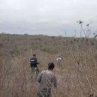  El hombre salió tras los ladrones de ganado.  