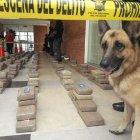  El alcaloide estaba valorado en 15 millones de dólares. 