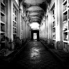  Imagen referencial. Necrofilia es el término empleado para describir el acto de mantener relaciones sexuales con cadáveres. 