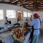  Se espera recuperar una costumbre y también incidir en la economía de estas familias.  