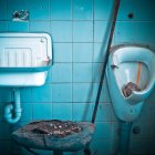  Objetos como el celular contienen más gérmenes que los inodoros de los baños. 