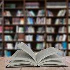  Referencial. Las mallas curriculares pasan por revisión continua de expertos.  