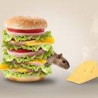  Referencial. El vídeo rápidamente se hizo viral en redes sociales. 