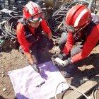  Entre cinco bomberos rescataron a toda la manada. 