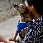  El estudio se hizo con una muestra de 256 mujeres, de las que 130 son usuarias de un centro de servicios de apoyo a la mujer y 126 pertenecientes a la comunidad de Guayaquil. 