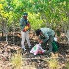  Fueron anteriormente separadas por la agresión de perros salvajes de la zona.  
