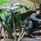  En Colombia, el secuestro de periodistas se ha dado durante coberturas en selvas, montañas o enfrentamientos. 