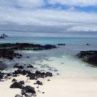  Referencial. La temperatura del mar y la del cuerpo de los animales está relacionada. Influye sobre todo en el metabolismo.  