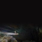  Las aventuras de Pineda sucedieron en la Cueva de Los Tayos. 