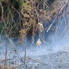  El miércoles 5 de septiembre inició el incendio forestal.  