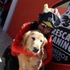  La adecuación de este espacio permite la permanencia de diez animalitos que cumplen con entrenamiento diario.  