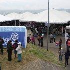  Los programas a presentar deben tener un fin social.  