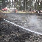  El cabildo recalcó que las áreas afectadas han disminuido en un 65 %, pese a que los eventos se han incrementado en un 85 %.  