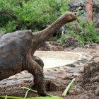  El estudio inició hace diez años. 