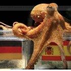  El pulpo Paúl ha sido uno de los oráculos con más aciertos en sus predicciones. 