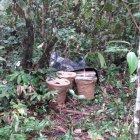  Los detonantes estaban cubiertos con un plástico negro. Estos tenían forma de baldes y también había tubos de plástico. 