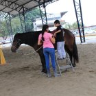  La equinoterapia es una terapia integral complementaria que involucra los aspectos físico, mental y motriz de quienes la reciben.  