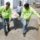  Guerrero, de 63 años, a las 7:00 de este miércoles laboraba en este lugar y al parecer tubo una discusión con otro celador de 40 años. 