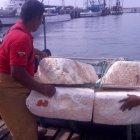  Restos de la balsa de espuma flex. 