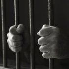  Los miembros de la Armada ecuatoriana procedieron a la detención del barco industrial por invasión de áreas protegidas. 