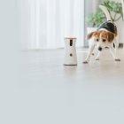  Furbo es una cámara con la que no solo verás a qué dedica su tiempo libre, también podrás interactuar con él hablándole gracias al audio bidireccional y jugando a lanzarle sus golosinas favoritas.  