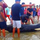  Pobladores de Cadeate ayudaron al cetáceo a recuperar la libertad. 