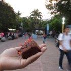  La droga llega hasta los estudiantes camuflada en forma de ‘brownies’.  