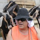  José Delgado se disfrazó de ‘chivero’ y ejerció el oficio por un día. 