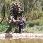  Los humedales de Huasao presentan réplicas del popular personaje de Guardianes de la Galaxia y Avengers: Infinity War. 