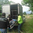  Se presume que sus verdugos lo habrían llevado al terreno baldío para ejecutarlo. 