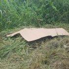  El cuepo de la bebé fue cubierto con un pedazo de cartón. 