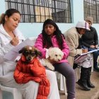  Los turnos se entregan a las 07:30 de la mañana en presencia de los propietarios y sus animales. 