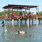  El fallecido había ido hasta la isla Jambelí con tres amigos más.  