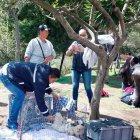  En la intervención se decomisaron cachorros de varias razas. 