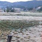  En este sector lechero, el rocío se había congelado debido a la temperatura de dos grados centígrados con el que amaneció el austro. 