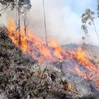  Tres días necesitaron los socorristas para controlar la emergencia forestal.  