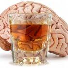  En el estudio, el grupo liderado por la profesora Karla Kaun encontró una área del cerebro “clave” para justificar esta pérdida de memoria prolongada.  