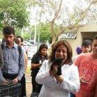  Gatos UG realizaron un censo en la ciudadela universitaria en agosto del 2017 y determinaron que habían 300 gatos.  