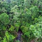  Esta declaración tiene como objetivo promover un equilibrio entre la naturaleza y la población, dijo el jueves 26 de julio la organización. 