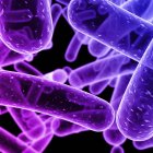  Disminuir la desnutrición infantil, tratar algunas enfermedades respiratorias y prevenir la diabetes, figuran entre las utilidades de las bacterias.. 