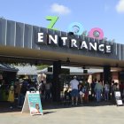  Referencial. El zoológico celebra Halloween con las impactantes fotografías de sus animales. 