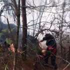  La pérdida de esta vegetación podría aumentar las posibilidades de inundaciones a sectores aledaños a los bosques.  