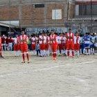  La ordenanza 233, pide, entre otras cosas, que las organizaciones presentes informes económicos de sus actividades.  