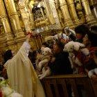 Familias llegaron a la iglesia de San Francisco, en Quito, junto a sus mascotas. Se brindó una misa para bendecir a los animales en el marco de la fiesta del santo. 