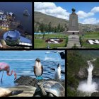  Los colegios que deseen participar deberán confirmar su participación máximo hasta el 12 de septiembre. 