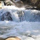  Solo el 2% del 71% de agua que hay sobre la tierra es apta para consumo humano.  