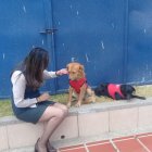  Guardia canina de la UNACH es cuidada por el personal.  