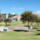  Este parque conserva su nombre porque allí se ubicó el primer estadio de Quito, que popularmente se lo llamaba El Arbolito. 